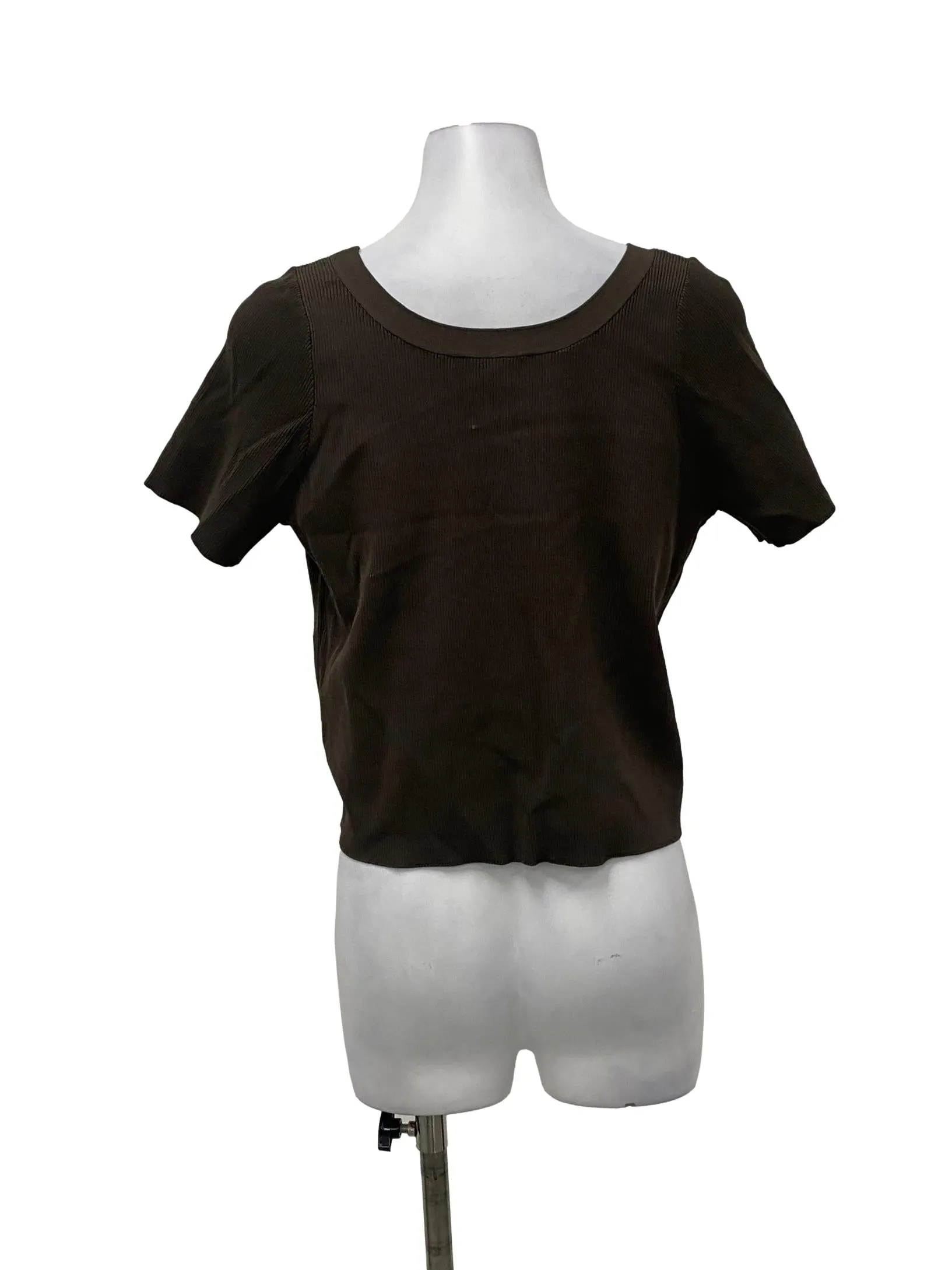 Cedar Green Round Neck Top