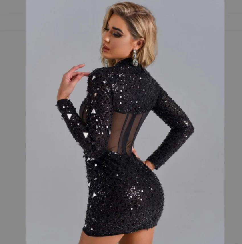 Long Sleeves See Through Dress