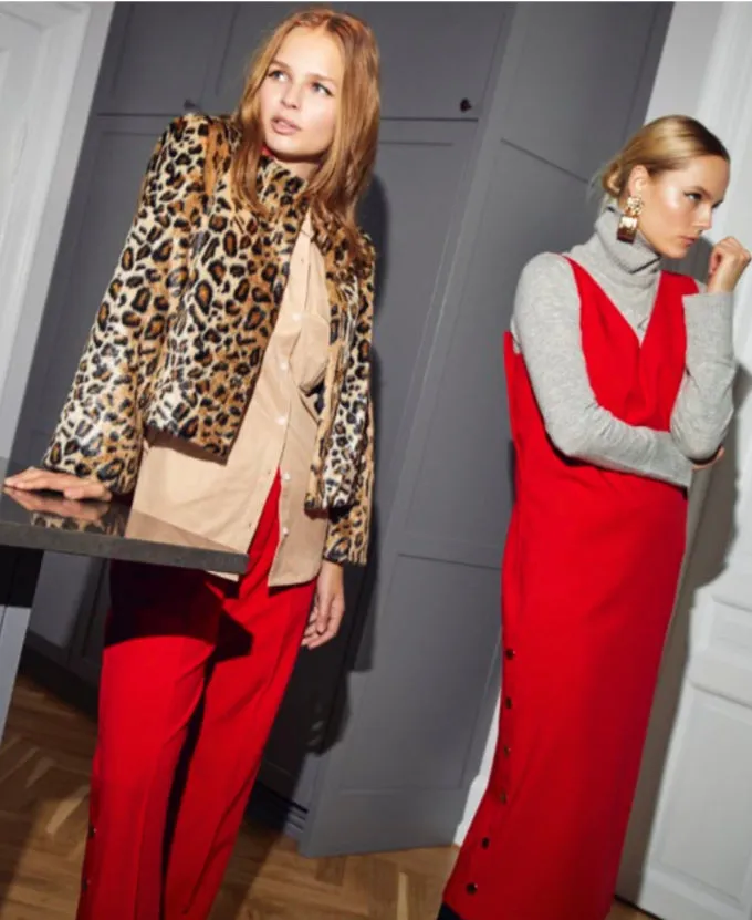 Mika Faux Fur Animal Print Jacket