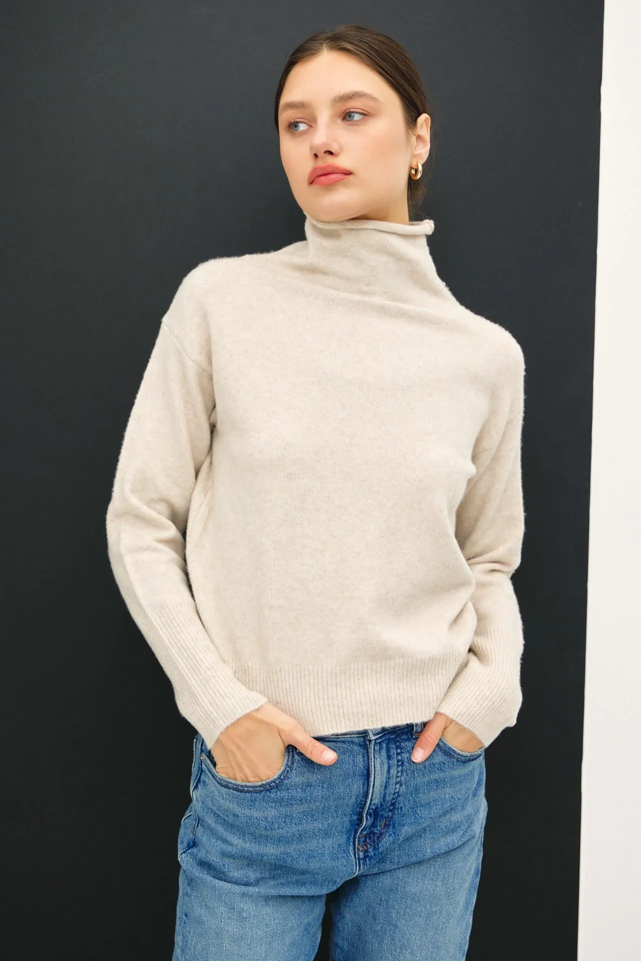 Robbin Turtle Neck Sweater