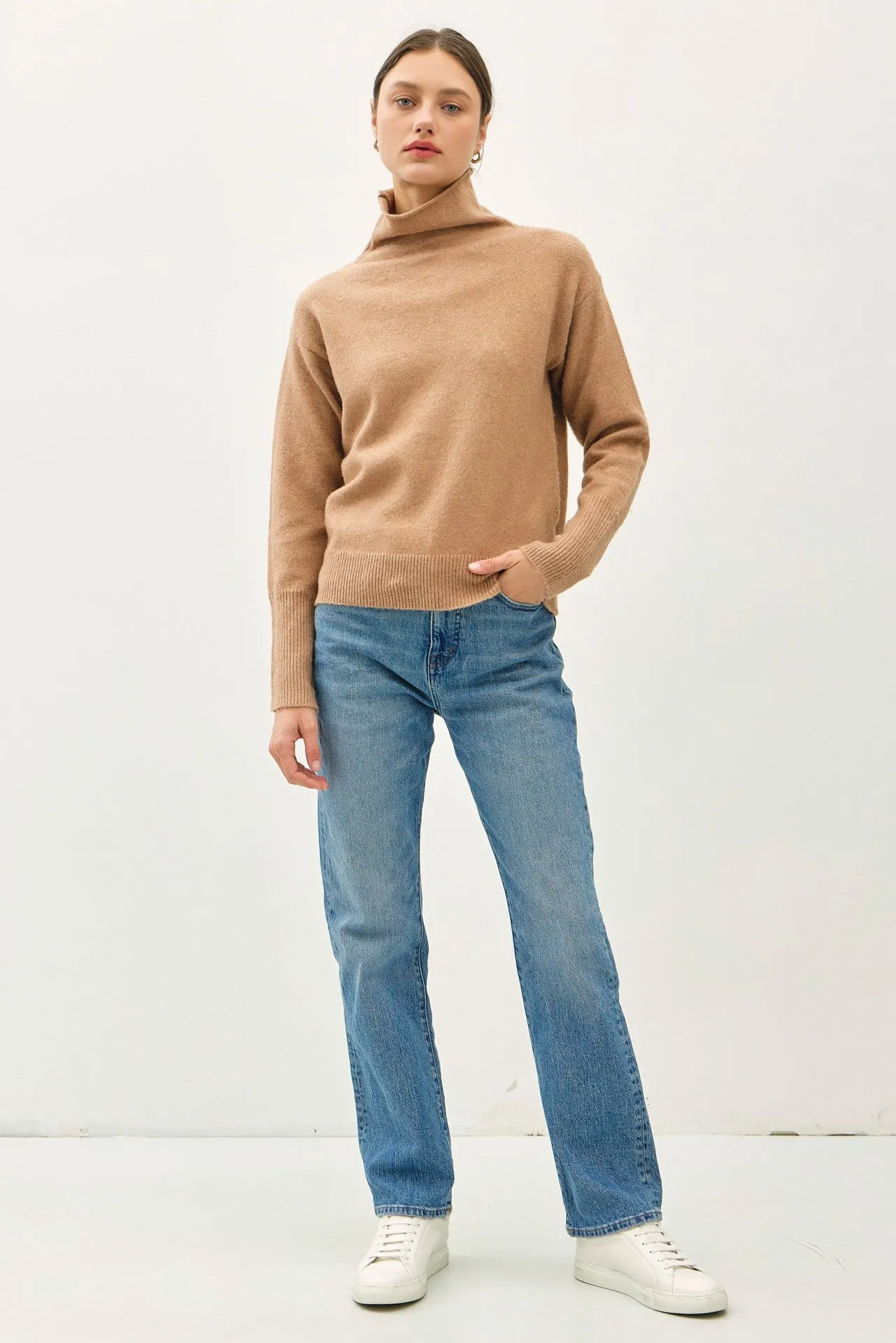 Robbin Turtle Neck Sweater
